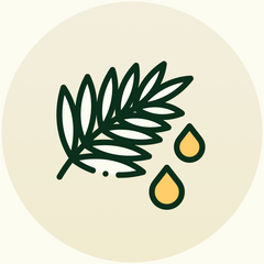 100% Pure Batana Oil
