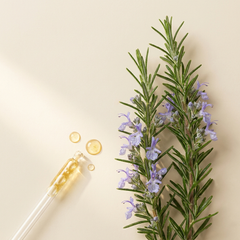 Rosemary Oil (Rosmarinus officinalis)